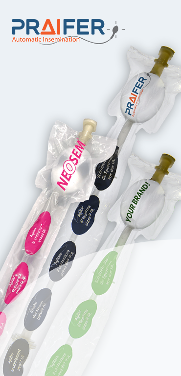Sonde d'insémination artificielle porcine Praifer